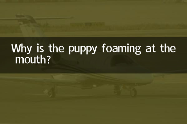 Why is the puppy foaming at the mouth?