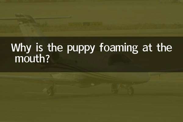 Why is the puppy foaming at the mouth?