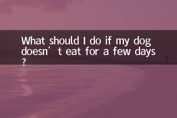 What should I do if my dog doesn’t eat for a few days?