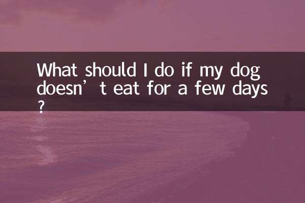 What should I do if my dog doesn’t eat for a few days?