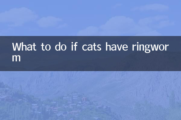 Qué hacer si los gatos tienen tiña