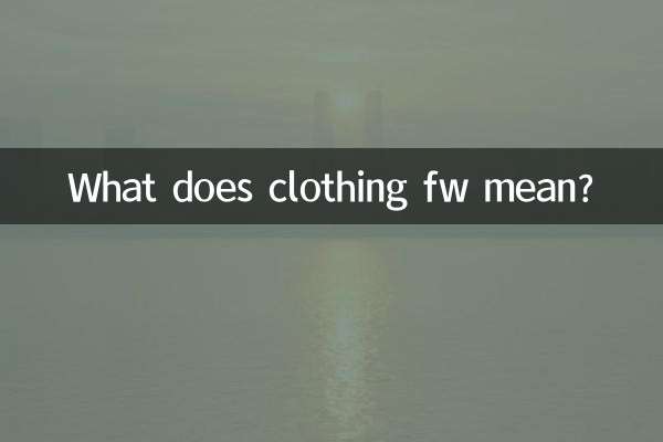 لباس fw به چه معناست؟