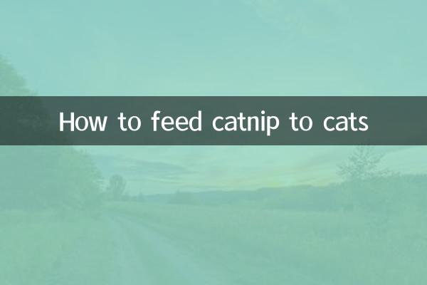 Cómo alimentar a los gatos con hierba gatera