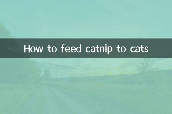 কিভাবে বিড়ালদের ক্যাটনিপ খাওয়ানো যায়