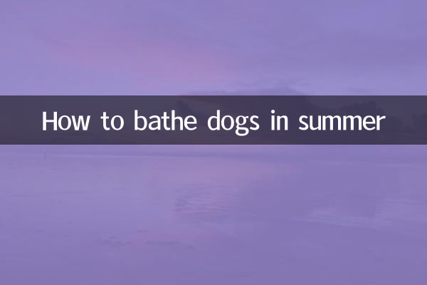 Comment baigner les chiens en été