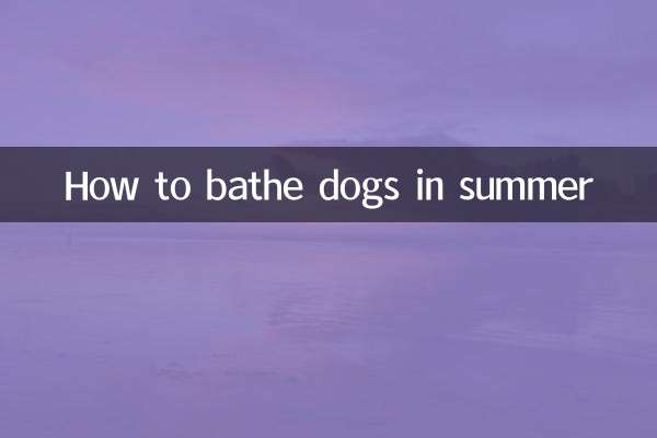 Comment baigner les chiens en été