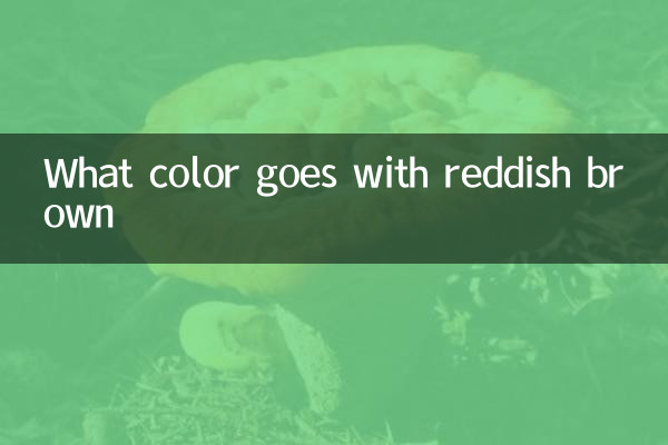 Welche Farbe passt zu Rotbraun?