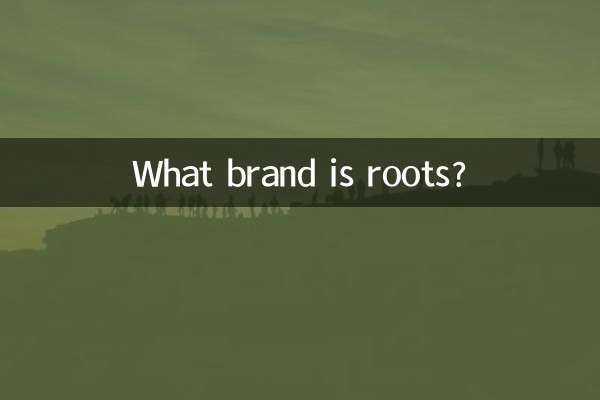 루츠는 어떤 브랜드인가요?