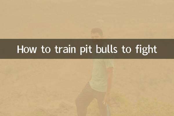 كيفية تدريب كلاب البيتبول على القتال