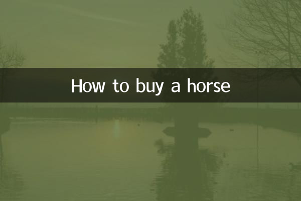 馬の購入方法