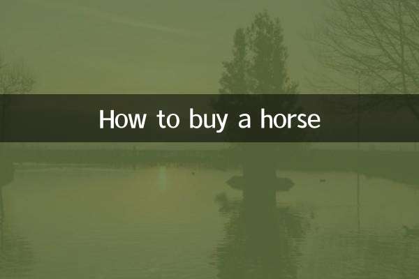 말 구입 방법