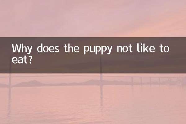 ¿Por qué al cachorro no le gusta comer?