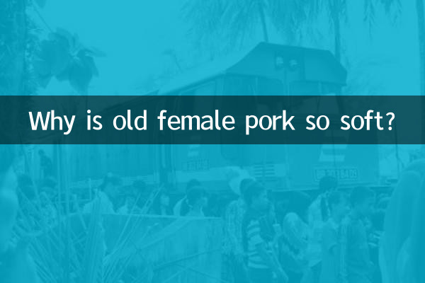 بوڑھی لڑکی سور کا گوشت اتنا نرم کیوں ہے؟