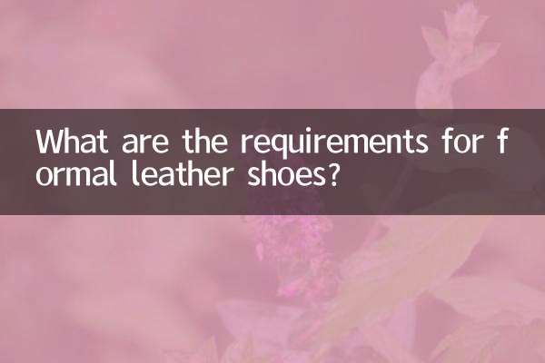 چمڑے کے باضابطہ جوتوں کی ضروریات کیا ہیں؟