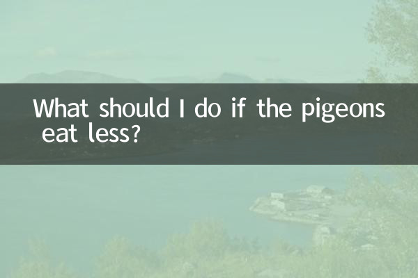 鸽子吃的少怎么办
