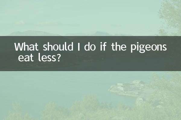 鸽子吃的少怎么办