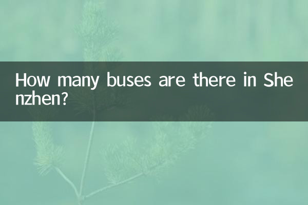 Quanti autobus ci sono a Shenzhen?