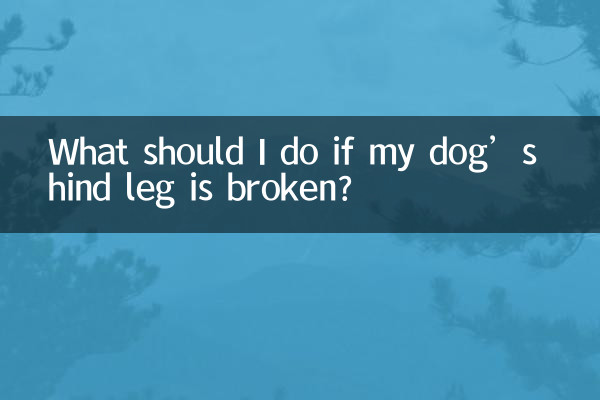 আমার কুকুরের পিছনের পা ভেঙে গেলে আমার কী করা উচিত?
