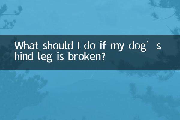 আমার কুকুরের পিছনের পা ভেঙে গেলে আমার কী করা উচিত?