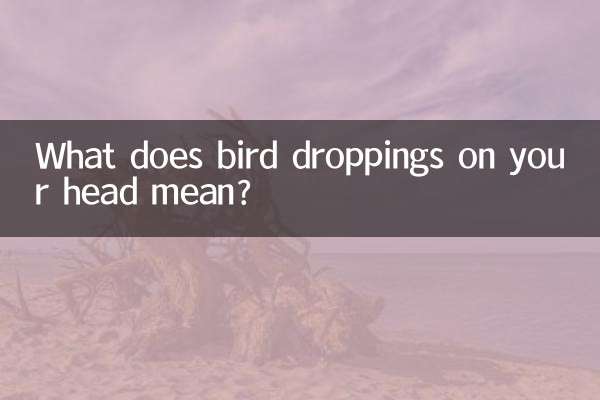 Que signifient les crottes d'oiseaux sur votre tête ?