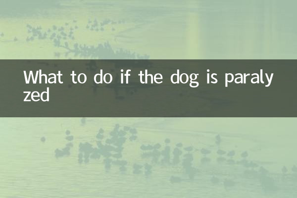 狗瘫痪了怎么办
