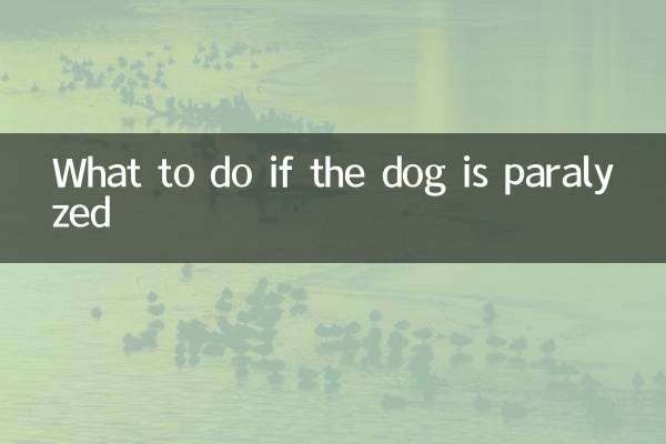 狗瘫痪了怎么办