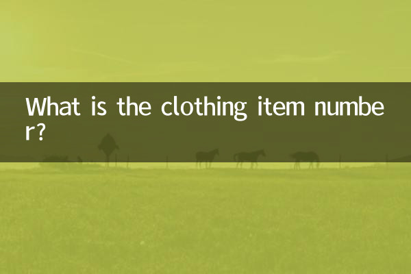 What is the clothing item number?