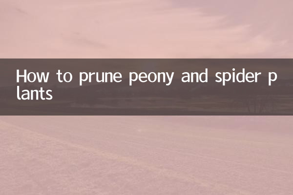 كيفية تقليم نباتات الفاوانيا والعنكبوت