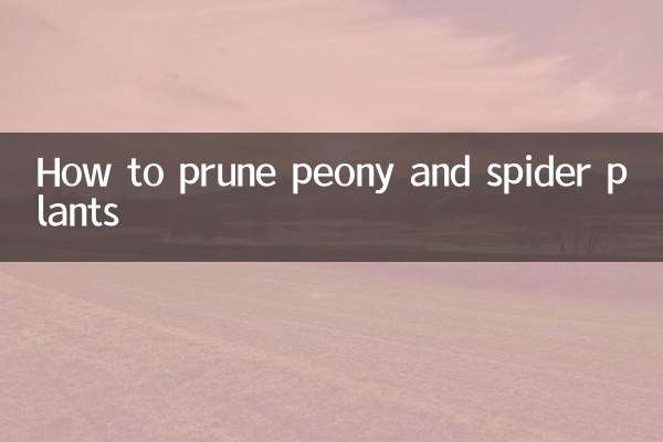 كيفية تقليم نباتات الفاوانيا والعنكبوت