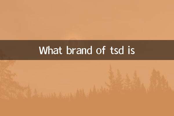 TSD의 브랜드