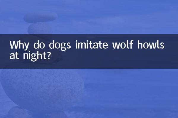 Por que os cães imitam os uivos dos lobos à noite?