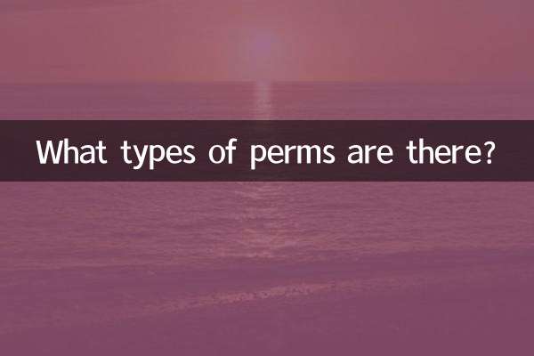 Quels types de permanentes existe-t-il ?