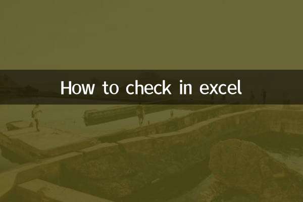 So checken Sie Excel ein