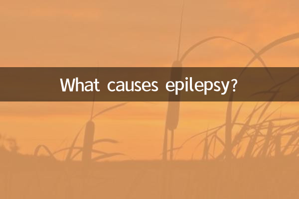 What causes epilepsy?