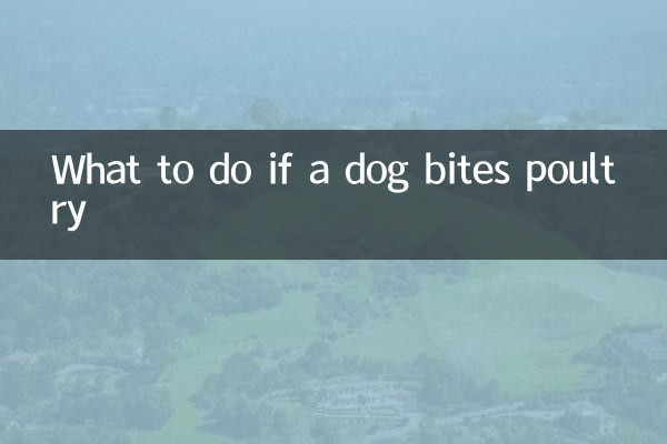 Was tun, wenn ein Hund Geflügel beißt?