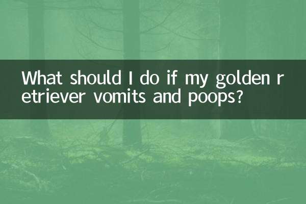 আমার গোল্ডেন রিট্রিভার বমি করে এবং মলত্যাগ করলে আমার কী করা উচিত?