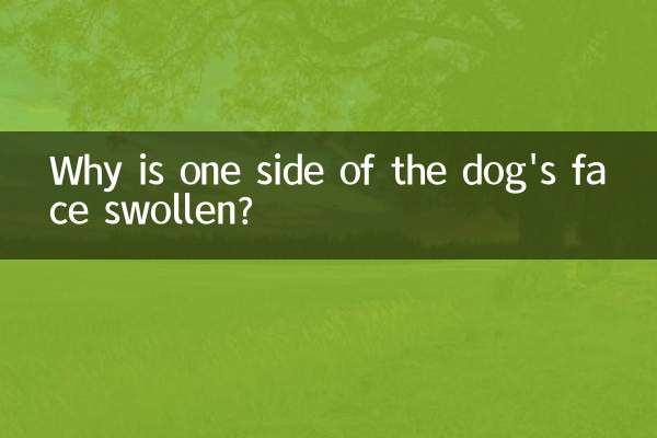 Por que um lado do rosto do cachorro está inchado?