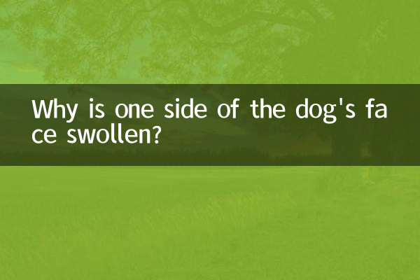 犬の顔の片側が腫れているのはなぜですか?
