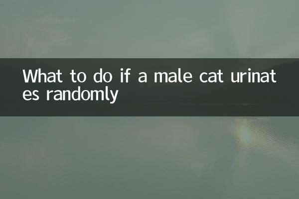 What to do if a male cat urinates randomly