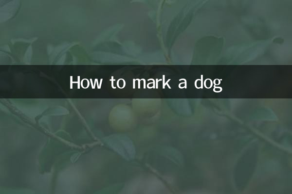 Wie markiert man einen Hund?
