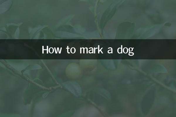 کتے کو کیسے نشان زد کریں