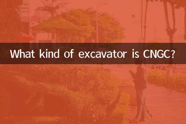 Quel type de pelle est CNGC ?