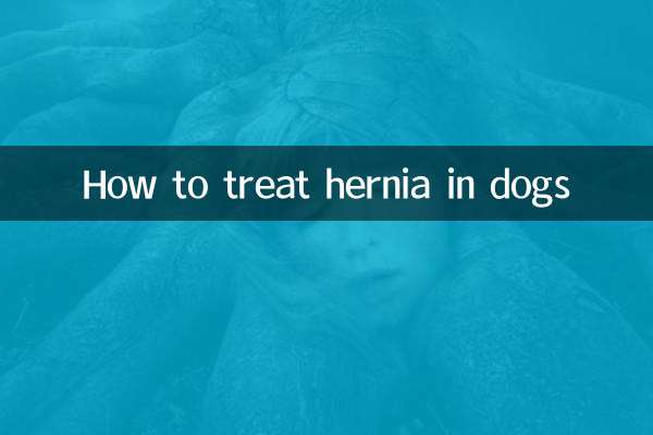 Comment traiter la hernie chez le chien