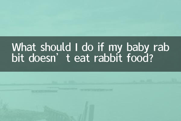 اگر بچه خرگوش من غذای خرگوش نخورد چه باید بکنم؟