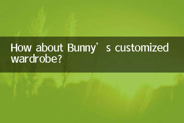 کمد لباس سفارشی بانی چطور؟