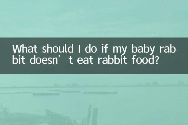 赤ちゃんウサギがウサギの餌を食べない場合はどうすればよいですか?