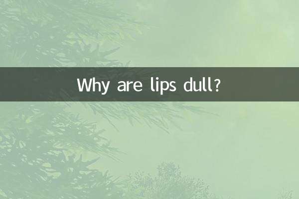 입술이 칙칙한 이유는 무엇입니까?