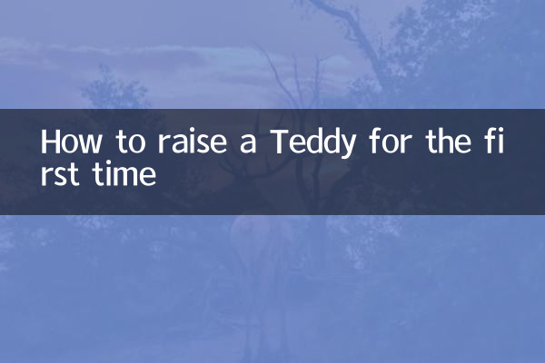 पहली बार टेडी कैसे पालें