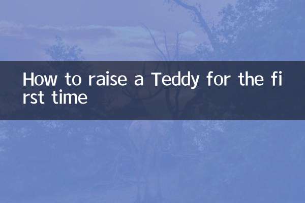 初めてのテディベアの育て方