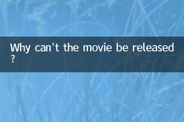 क्यों रिलीज नहीं हो पा रही फिल्म?